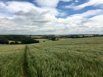 A view looking down towards Lilley. 