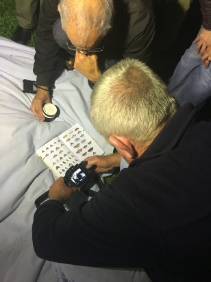 Gordon identifies a moth he had captured, photographed and released earlier in the evening.