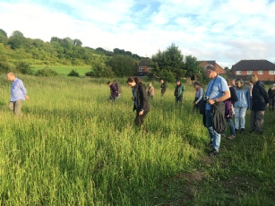 Participants search for orchids!